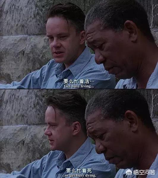 不需要会员的追\剧软件