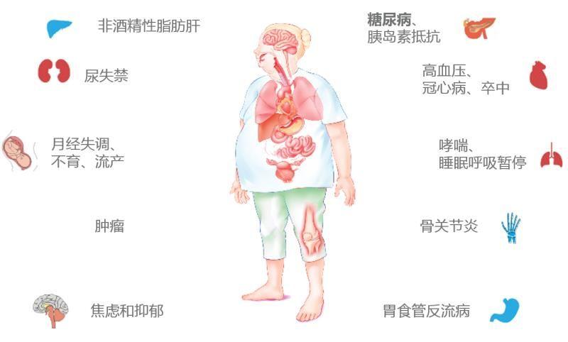 74549.cσm查询开奖记录和中国小孩不能再胖了与中国孩子肥胖