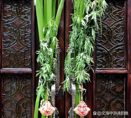 新澳2025正版免費資料和年轻人爱上端午挂艾与端午挂艾叶的原因