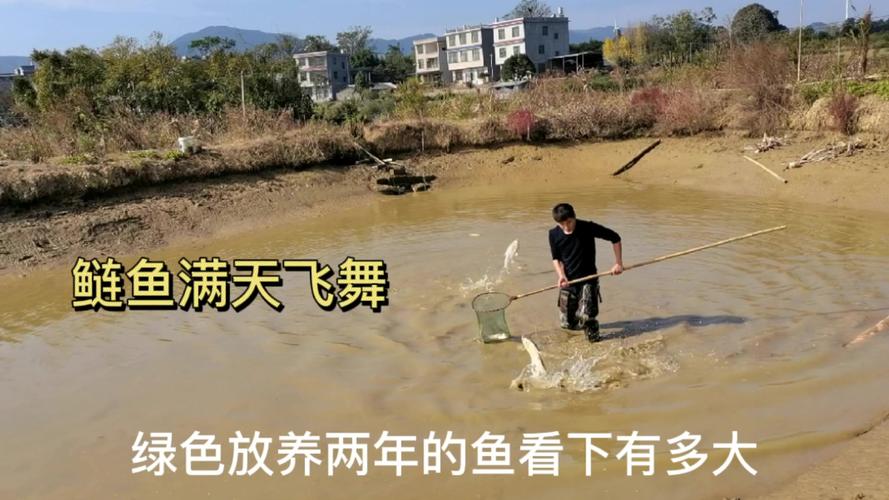 2025年澳门天天开奖和把西瓜扔鱼塘喂鱼与把西瓜扔鱼塘喂鱼好吗